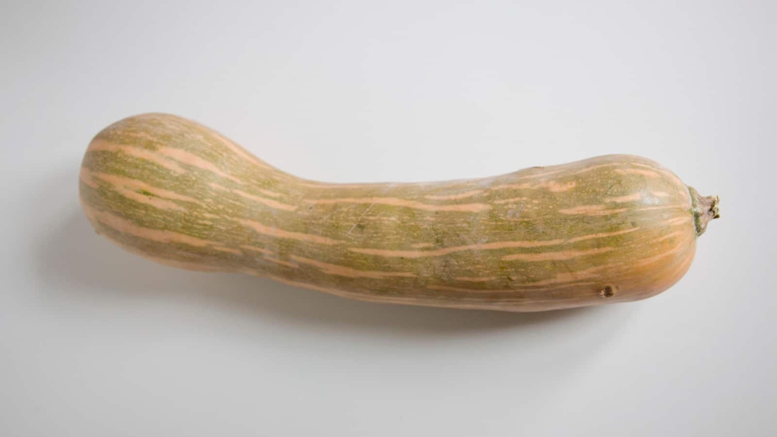 Calabaza