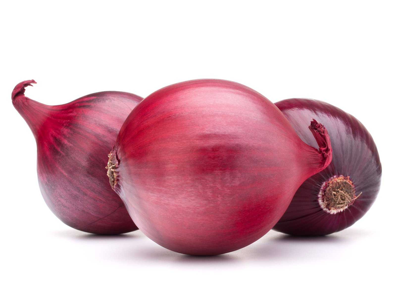 Cebolla