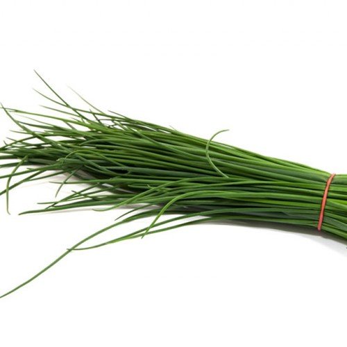 Cebollino