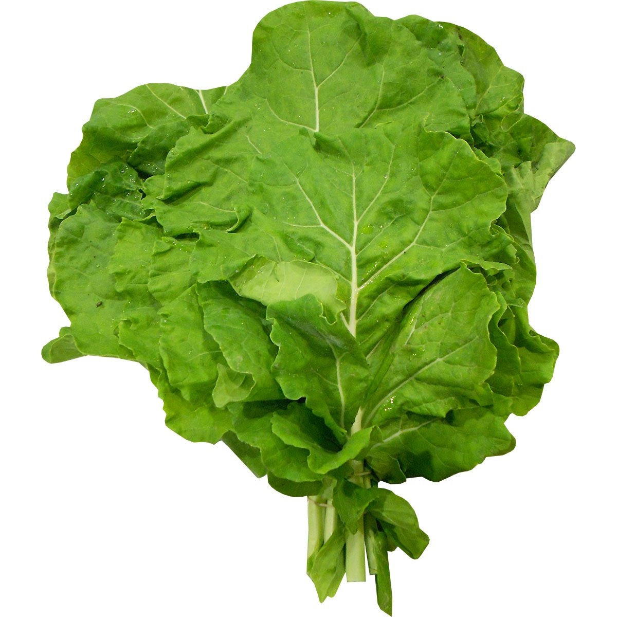 Col Abierta