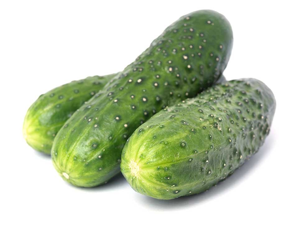 Pepino