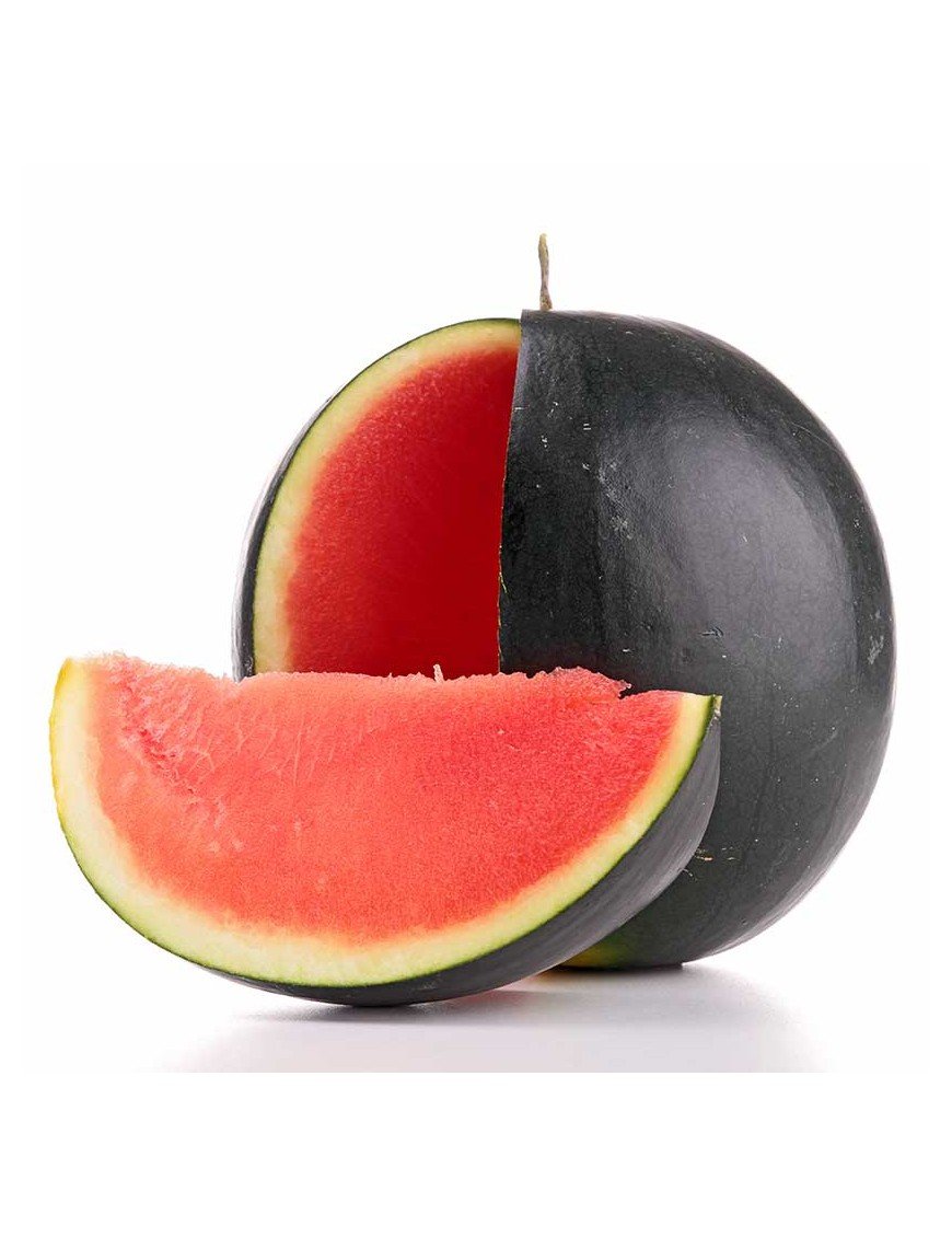 Sandia
