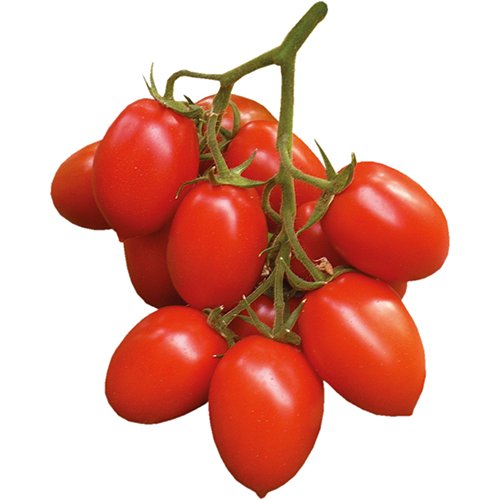 Tomate